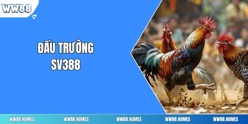 Đấu trường SV388