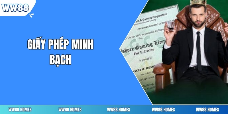 Giấy phép minh bạch