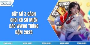 Bật Mí 3 Cách Chơi Xổ Số Miền Bắc WW88 Trúng Đậm 2025